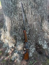 1966 Browning Auto-5 Magnum 29.5” Plain Full Choke - Image 10 of 15