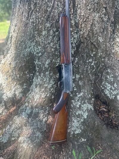 1966 Browning Auto-5 Magnum 29.5” Plain Full Choke - Image 8 of 15