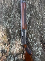 1966 Browning Auto-5 Magnum 29.5” Plain Full Choke - Image 13 of 15