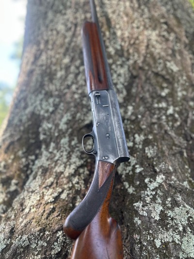 1966 Browning Auto-5 Magnum 29.5” Plain Full Choke - Image 9 of 15
