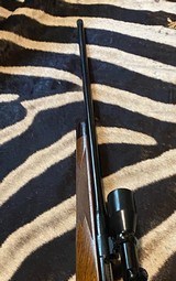 Custom Heym finished by Rigby .275 Rigby - 14 of 14