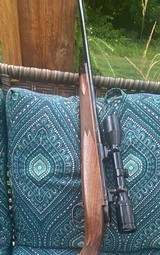 Custom Heym finished by Rigby .275 Rigby - 8 of 14