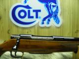 COLT SAUER GRAND ALASKAN CAL: 375 H/H NICE FIGURE WOOD CONDITION 100% NEW IN FACTORY BOX!! - 3 of 12