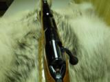 COLT SAUER GRAND ALASKAN CAL: 375 H/H NICE FIGURE WOOD CONDITION 100% NEW IN FACTORY BOX!! - 10 of 12