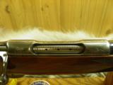 COLT SAUER GRADE IV CAL. 300 WIN. MAG. WITH ELK SCENE 100% NEW IN FACTORY BOX! - 4 of 12