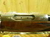COLT SAUER GRADE IV CAL: 243 WIN. ENGRAVED IN WHITETAIL DEER SCENE, 100% NEW IN FACTORY BOX! - 4 of 12