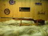 COLT SAUER GRADE IV CAL: 243 WIN. ENGRAVED IN WHITETAIL DEER SCENE, 100% NEW IN FACTORY BOX! - 7 of 12