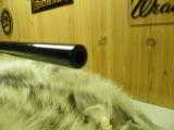 COLT SAUER SPORTING RIFLE CAL: 300 WIN. MAG. BEAUTIFUL FEATHER- CROTCH WOOD, 100% NEW IN ORGINAL FACTORY BOX!! - 6 of 13