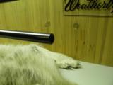 SAUER 90 MODEL SUPREME CAL: 338 WIN. MAG. BEAUTIFUL FIGURE WOOD 100% NEW AND UNFIRED IN BOX! SCARCE CALIBER!! - 7 of 16