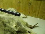 SAKO AV FINNBEAR DELUXE CAL: 300 WEATHERBY MAGNUM
" NEW AND UNFIRED" WITH FACTORY BOX! - 4 of 9