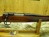 COLT SAUER SPORTING RIFLE IN THE "RARE CALIBER 308" BEAUTIFUL FIGURE WOOD, 100% NEW IN FACTORY BOX!! - 4 of 14