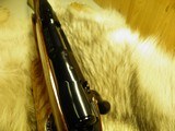 COLT SAUER SPORTING RIFLE CAL: 270 BEAUTIFUL COLORED MULTI STRIPE WOOD 100% NEW IN FACTORY BOX! - 11 of 14