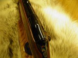 COLT SAUER SPORTING RIFLE IN THE SCARCE CALIBER 25/06 BEAUTIFUL FIDDLE BACK WOOD, 100% NEW IN FACTORY BOX! - 14 of 17