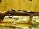 COLT SAUER SPORTING RIFLE IN THE SCARCE CALIBER 25/06 BEAUTIFUL FIDDLE BACK WOOD, 100% NEW IN FACTORY BOX! - 6 of 17