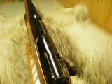 COLT SAUER SPORTING RIFLE CAL. 300 WEATHERBY MAG,. WITH BEAUTIFUL FIGURE WOOD, MINTY/ UNFIRED - 9 of 11