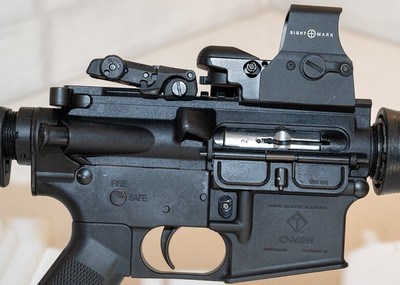 22 cal AR built with an Omni lower - Image 2 of 6
