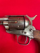 Colt Calvary - 2 of 5
