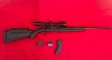 Ruger American .17 HMR
22