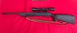 Ruger 10\22 - 2 of 2