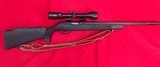 Ruger 10\22 - 1 of 2