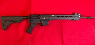 Ruger SR-556 with 5.56 and .300 BLK out