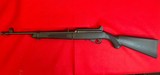 Ruger 10\22 Take Down with pack - 3 of 3