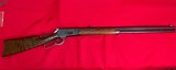 Winchester 1886 custom .45-70