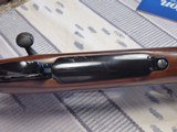 Early Remington Mountain Rifle 280rem - 12 of 16