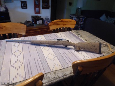 Original Stiller SPF.LLC PredVator .17 Mach 4