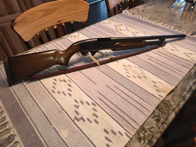 Savage Model 69 E Police/ Riot 12 ga