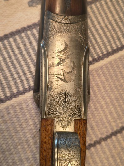 Bertuzzi Best Quality Venere 20 ga - Image 12 of 19