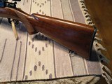 Winchester Pre War model 70 250/3000 Sav - Image 7 of 14