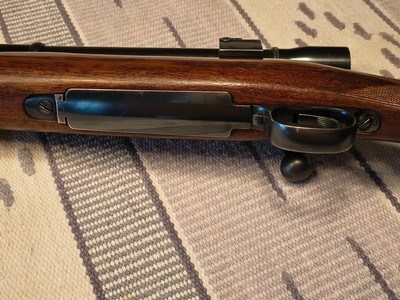 Winchester Pre War model 70 250/3000 Sav - Image 11 of 14