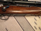 Winchester Pre War model 70 250/3000 Sav - Image 14 of 14