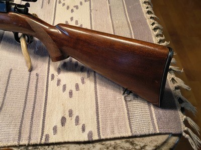 Winchester Pre War model 70 250/3000 Sav - Image 7 of 14