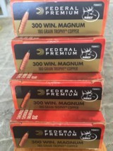 Federal Premium .300 Win Mag - 2 of 8
