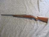 Remington 700 Classic .223
- 12 of 12