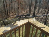 Savage Model 10/110 Predator Hunter 6.5 Creedmoor - 1 of 15