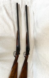 Matched Pair Union Armera 12GA SXS Shotguns - Beautiful! - 5 of 12