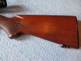 Winchester Model 100 in scarce 243 caliber - 5 of 15