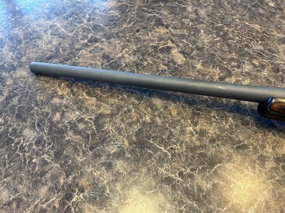 Ruger 77 Hawkeye Predator 204 Ruger matte stainless steel with factory scope rings - Image 12 of 12