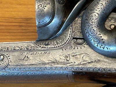 T.S. Adams English Hammer Gun 12ga 12 gauge 2-3/4