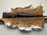 Bergara Stoke B-14 Compact - Image 1 of 7