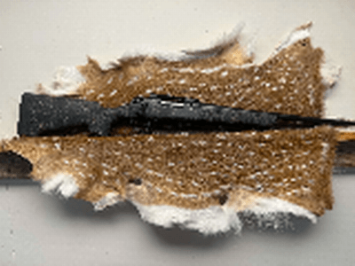 Bergara Stoke B-14 Compact - Image 1 of 7