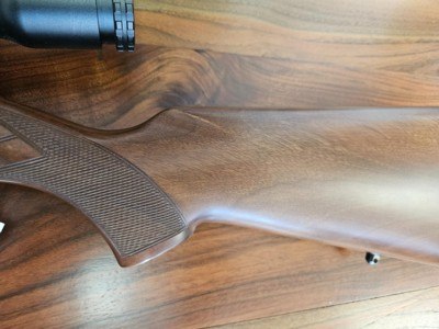 CZ 452 .17HMR With 22