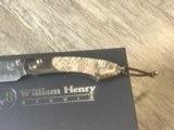 Very collectible William Henry B12-Silver Falls 1212-0906 008/250 amazing high end collectible - 6 of 9