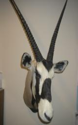 GLOCKG-23,FSDGENERATION3 ,2- 13ROUNDMAGSNEWINBOX- 14 of 15