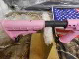 RUGER
10 / 22RTFP,
22
L.R.,
# 11175,
PINK,
TAPCO
EXCLUSIVE,
1 - 10
ROUND
MAG.,
ALL
FACTORY
NEW
IN
BOX
- 6 of 24