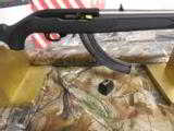 RUGER
# 01240,
K10 / 22RPB
CARBINE
RIFLE,
SS / SYN.
22
L.R.
18.5" BARREL,
10 + 1 ROUND
MAG.
FACTORY
NEW
IN
BOX
- 9 of 22