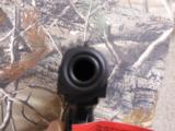 BERSA THUNDER PLUS .380ACP FS 15+1 SHOT BLACK MATTE SYN - 12 of 25